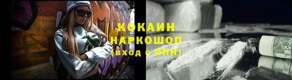 кокс Алексин