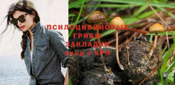 кокс Алексин