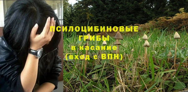 кокс Алексин